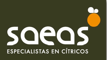 Logo SAEAS